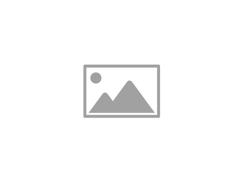Capítulo 11 oficial